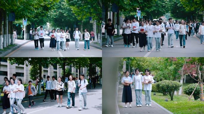 大学校园生活大学美好时光大学写意镜头