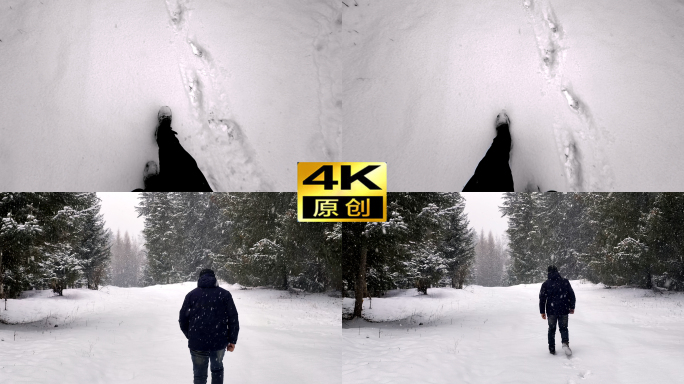 4K一个人行走在雪地上