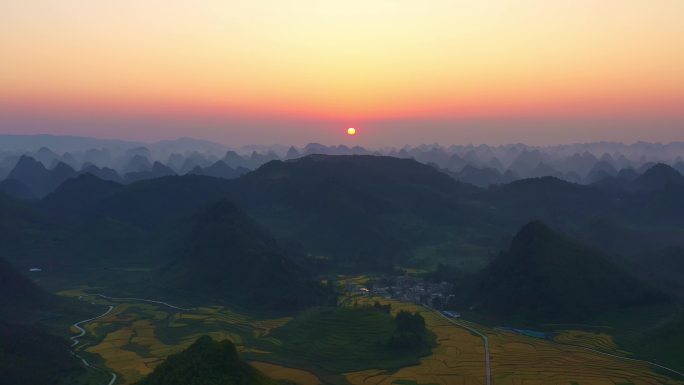稻田