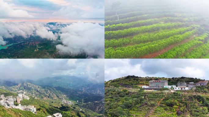 潮州凤凰山凤凰单枞茶产区日出云海航拍
