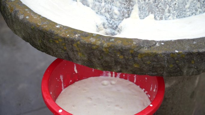 东北农村石磨懒豆腐制作磨豆子
