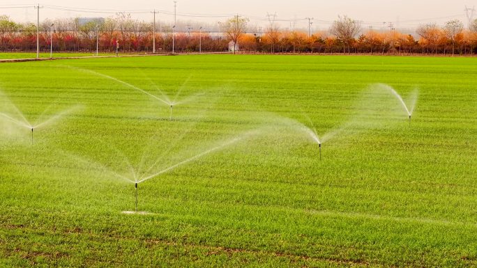 麦田、智能喷灌、机械耕田4k