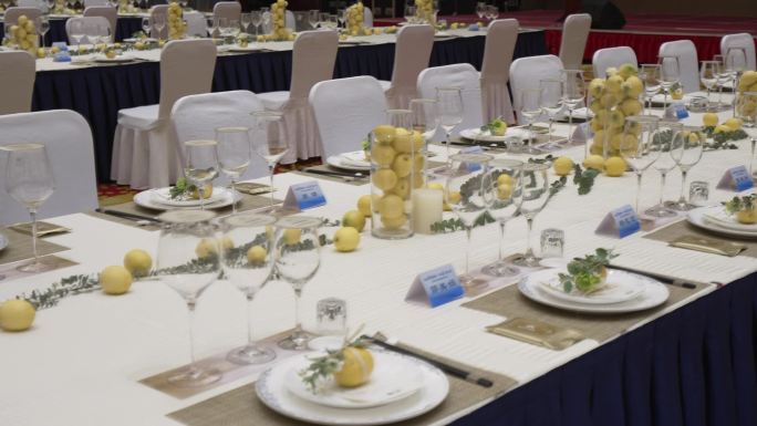 豪华酒店里的柠檬装饰开会会议厅
