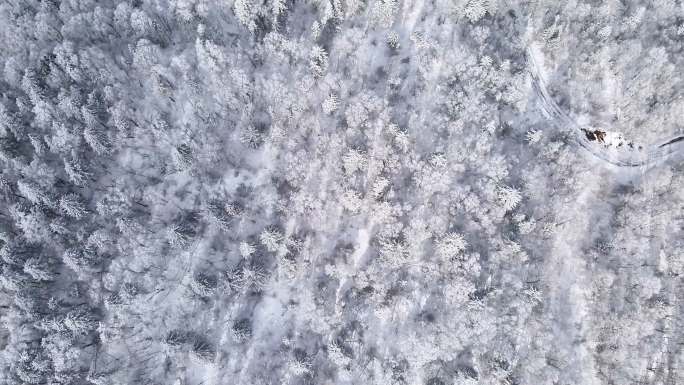 雪岭