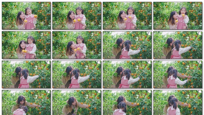 亲子时光 母女在橘子果园的采摘之旅