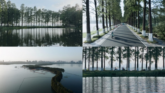 武汉东湖绿道 城市风光 绿道骑行