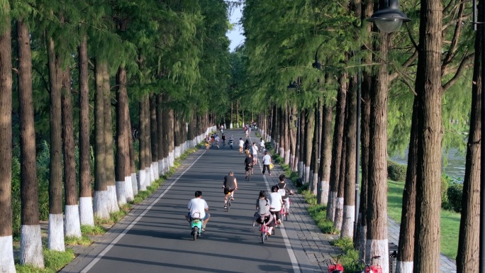 武汉东湖绿道 城市风光 绿道骑行