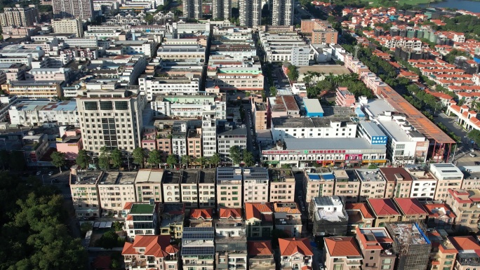 东莞长安镇咸西莲花村