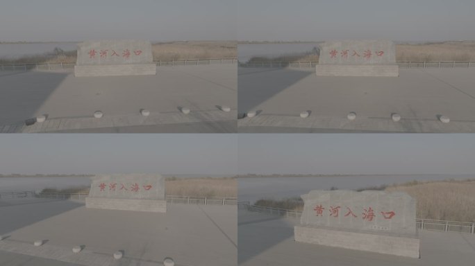 黄河母亲河中华大地山河河流黄河入海口