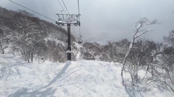 现代滑雪缆车在新雪覆盖的树林山坡上升起，白色的树木映入眼帘。