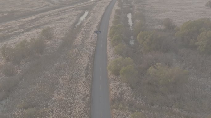 黄河母亲河中华大地山河河流黄河入海口柳林