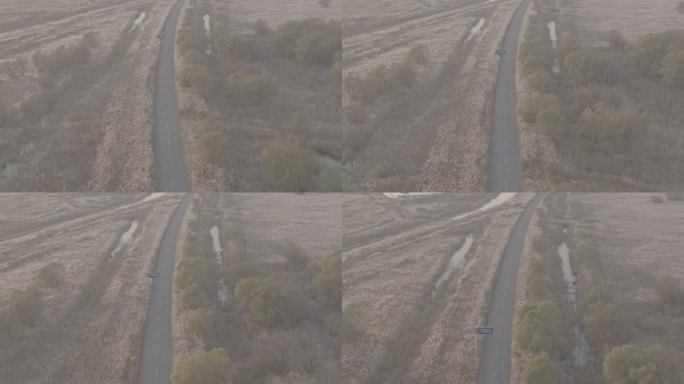 黄河母亲河中华大地山河河流黄河入海口柳林