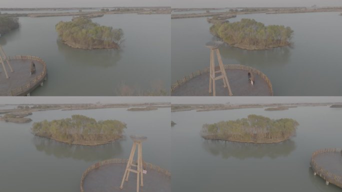 黄河母亲河中华大地山河河流黄河入海口柳林