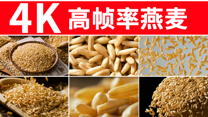 燕麦
