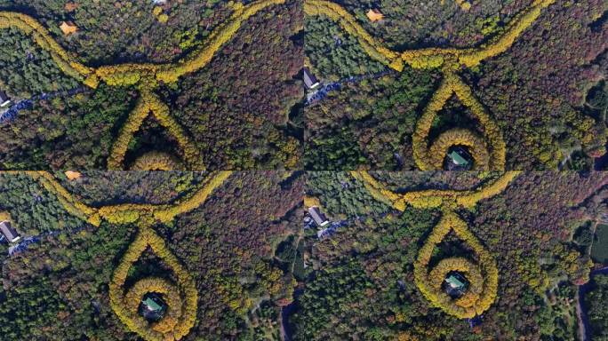 江苏南京中山陵美玲宫浪漫金秋项链日出航拍