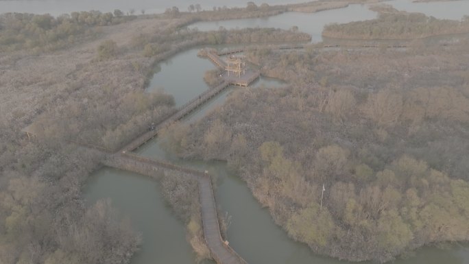 黄河母亲河中华大地山河河流黄河入海口柳林