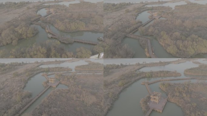 黄河母亲河中华大地山河河流黄河入海口柳林