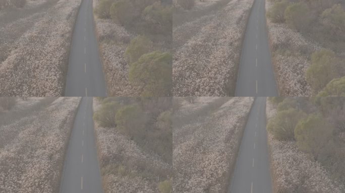 黄河母亲河中华大地山河河流黄河入海口柳林