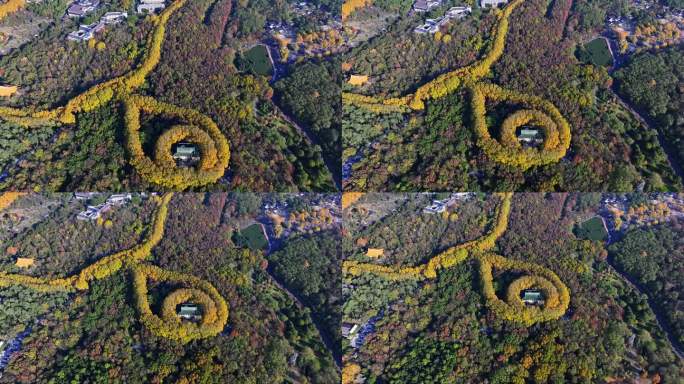 江苏南京中山陵美玲宫浪漫金秋项链日出航拍