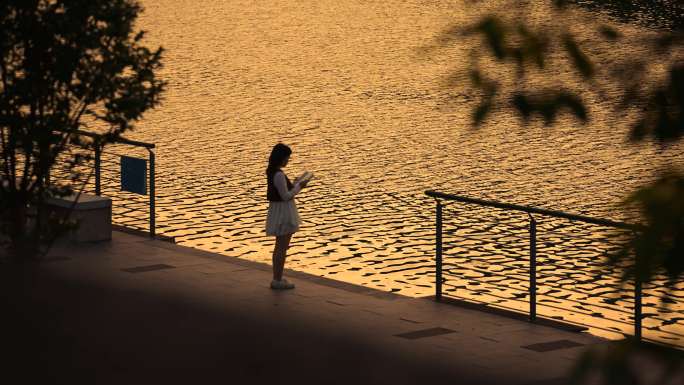 夕阳下女生在河边看书意境