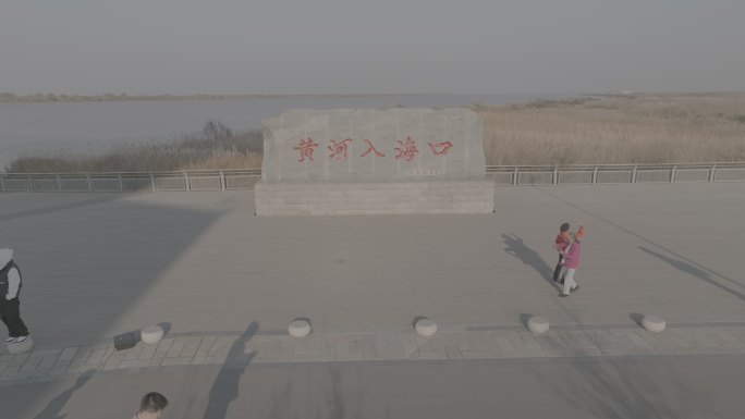 黄河母亲河中华大地山河河流黄河入海口