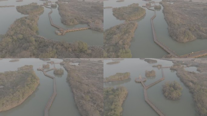 黄河母亲河中华大地山河河流黄河入海口柳林