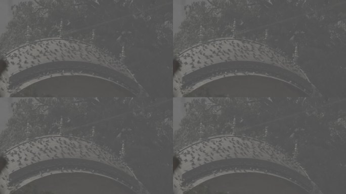 未分级C LOG 2：两只鸽子栖息在阿梅尔堡的一个屋顶上。是拉贾普特建筑的绝佳范例。阿梅尔堡是斋浦尔