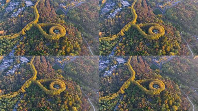 江苏南京中山陵美玲宫浪漫金秋项链日出航拍