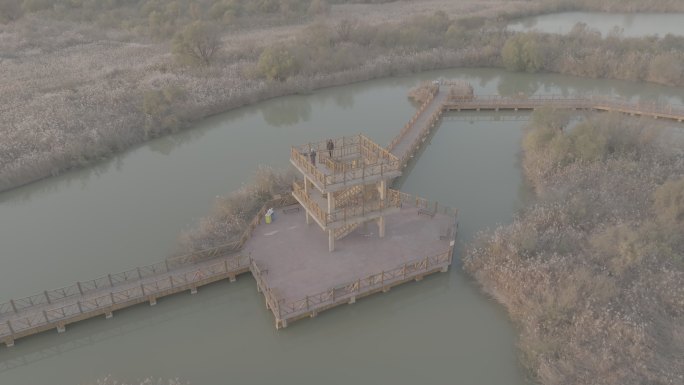 黄河母亲河中华大地山河河流黄河入海口柳林