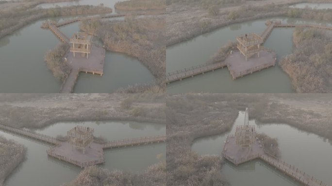 黄河母亲河中华大地山河河流黄河入海口柳林