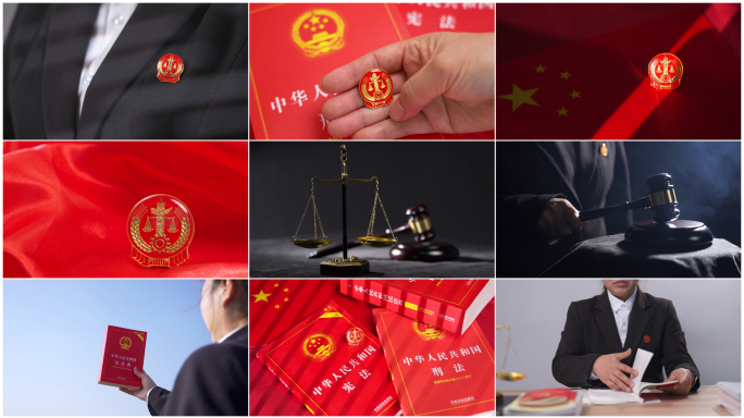 【4K高清原创】法徽 法官