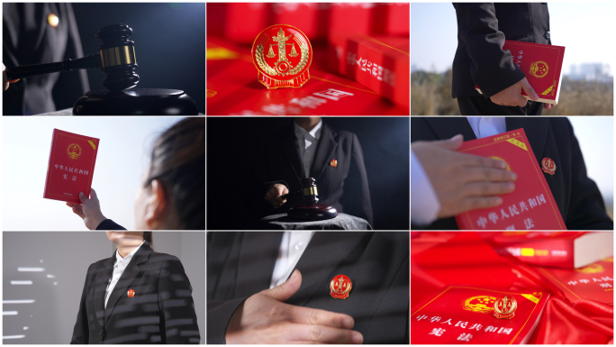 【4K高清原创】法徽 法官