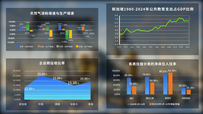 简洁数据图表柱状图表科技表格（无插件）