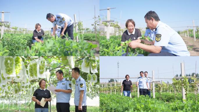 农业抽检市场监察蔬菜食品安全