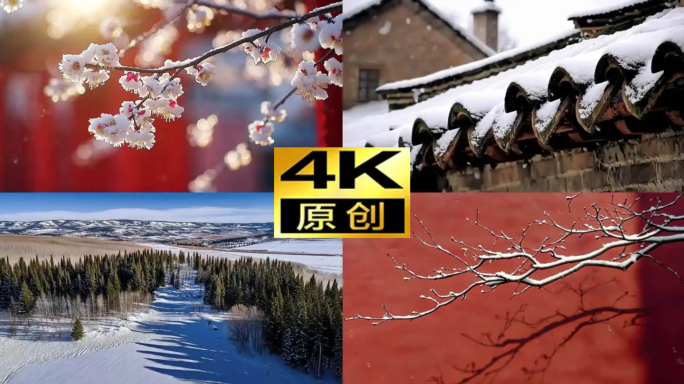 【加长版】大寒小寒节气冬天大雪美景雪花