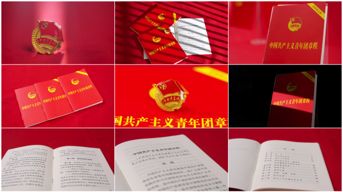 【4K高清原创】共青团团徽 章程
