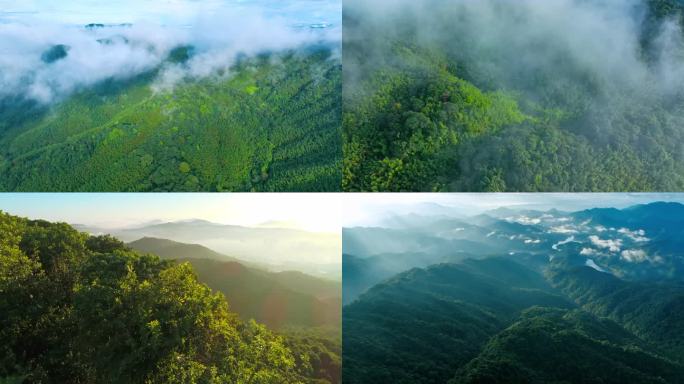 4K航拍广州白云山日出岭南山脉03