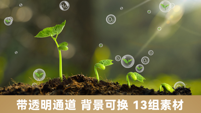 13组氧气负离子气泡