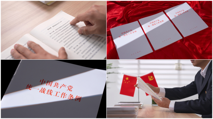 【4K高清原创】共产党统一战线工作条例