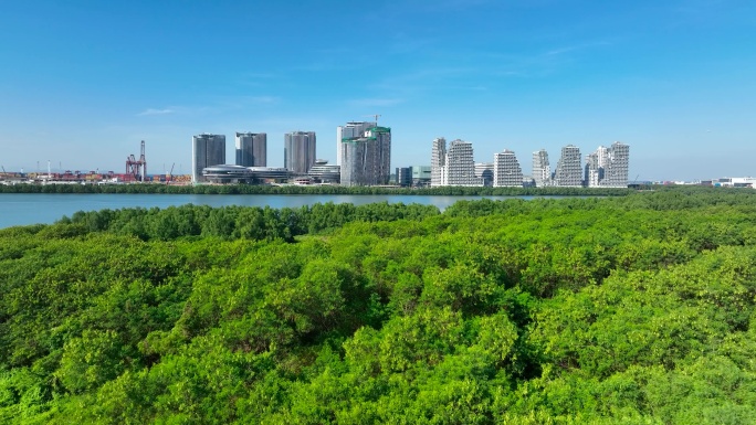 4K航拍深圳企鹅岛7