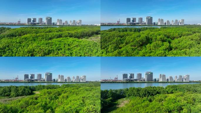 4K航拍深圳企鹅岛7