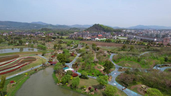 杭州 老余杭 径山花海