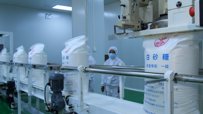 甘蔗丰收 白砂糖蔗糖生产 甘蔗林