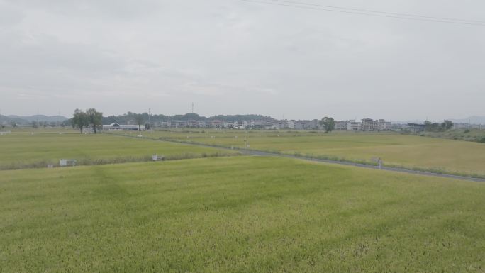 萧山横一村原素材