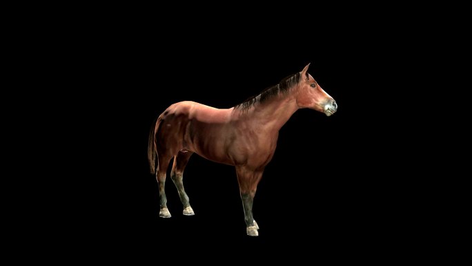 马3d模型影视特效C4D骨骼绑定动画