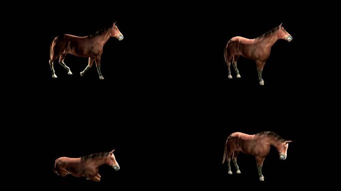 马3d模型影视特效C4D骨骼绑定动画