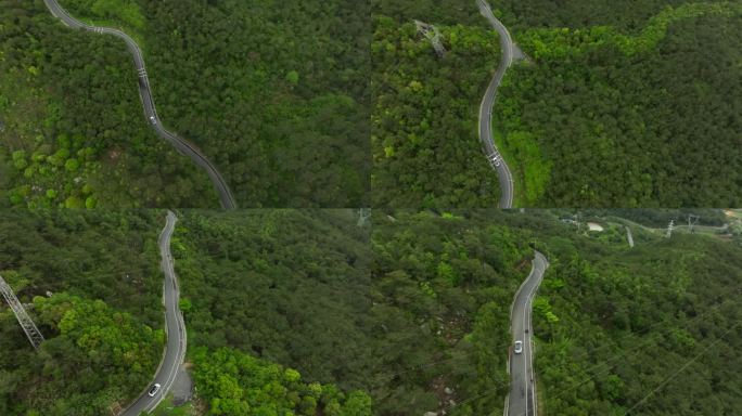 厦门森林弯曲公路汽车行驶航拍