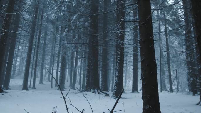 下雪中的森林户外意林水墨般的雪景