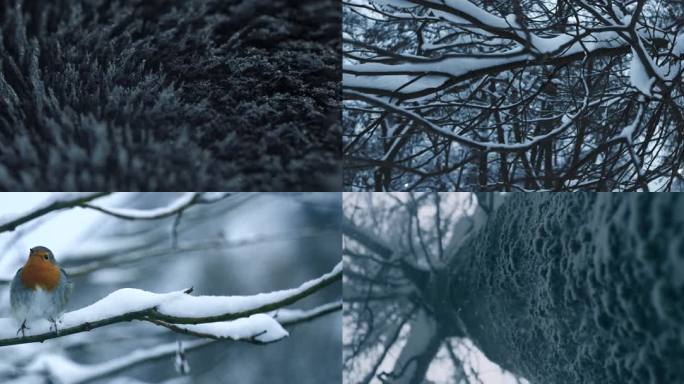 下雪中的森林户外意林水墨般的雪景