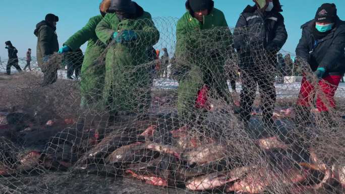 4K 大庆连环湖渔猎冬捕现场